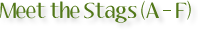 Meet the Stags