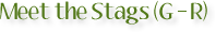 Meet the Stags